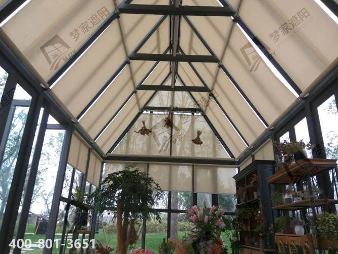 普羅旺世.png 普羅旺世.png